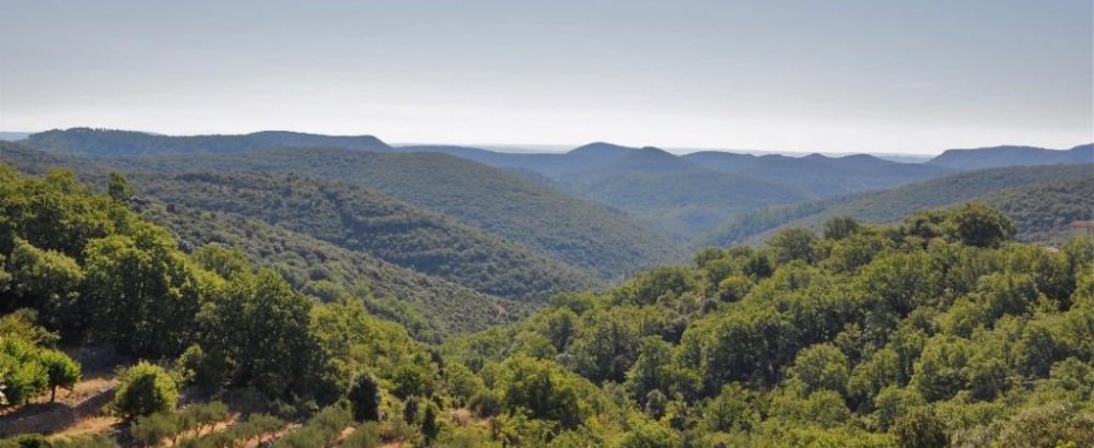 Cévennes Cévennes