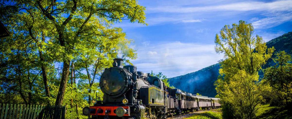 Train à Vapeur des Cévennes Train à Vapeur des Cévennes